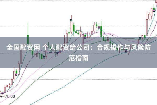 全国配资网 个人配资给公司：合规操作与风险防范指南