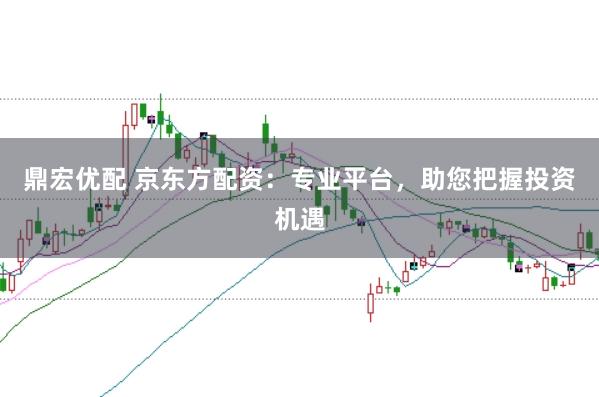 鼎宏优配 京东方配资：专业平台，助您把握投资机遇