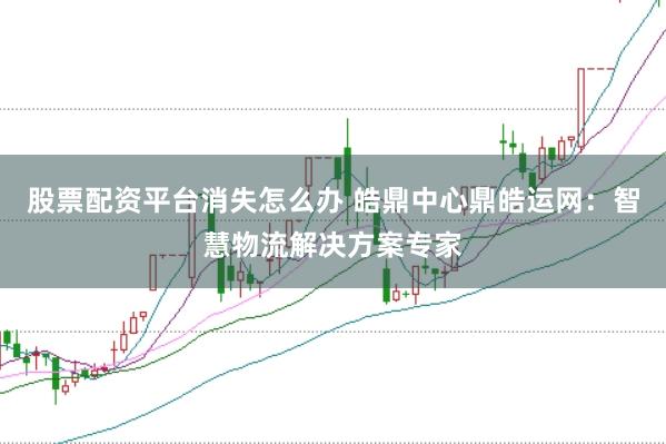 股票配资平台消失怎么办 皓鼎中心鼎皓运网:智慧物流解决方案专家