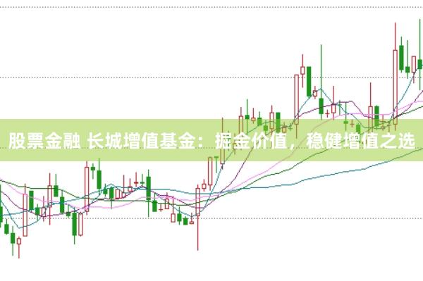 股票金融 长城增值基金:掘金价值,稳健增值之选