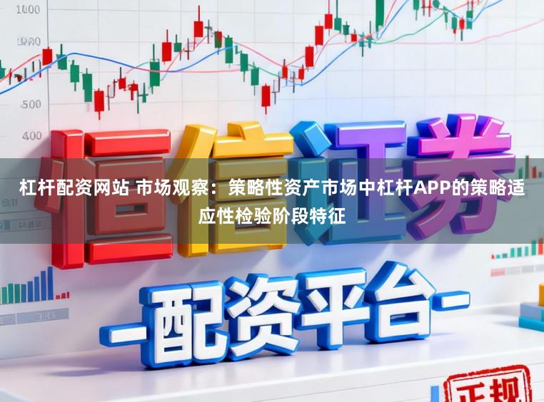 杠杆配资网站 市场观察：策略性资产市场中杠杆APP的策略适应性检验阶段特征