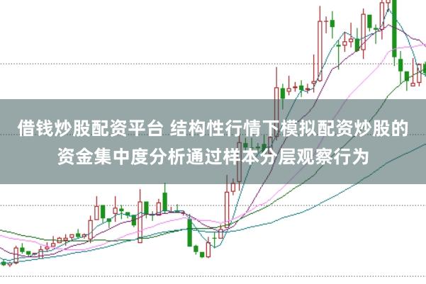 借钱炒股配资平台 结构性行情下模拟配资炒股的资金集中度分析通过样本分层观察行为